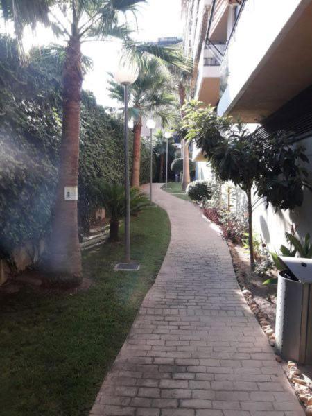 Mi Casa Es Tu Casa Gandia Apartment Exterior photo